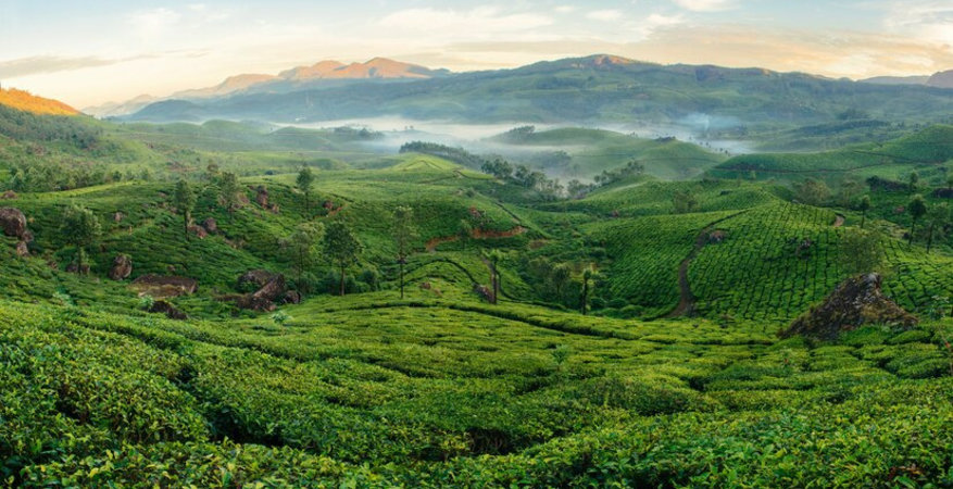 green-hills-of-tea-plantations-in-munnar_211251-658
